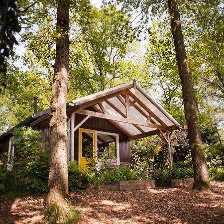 Knus Boshuisje Onder De Eiken Ermelo Exterior photo